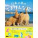 simabossneko ���{�̓��̂�������ȔL Book