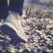 Shammon ꤫ 12cmCD Single