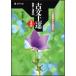�����Y �Õ���B ��b�� �ǉ��Ɖ��K45 Book
