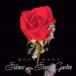 Moodymann SILENCE IN THE SECRET GARDEN< время ограничено специальный обычная цена запись > CD