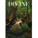 ...... фотоальбом DIVINE Book