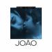 Bebel Gilberto Joao CD