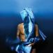Devendra Banhart Flying Wig CD