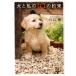  Kawaguchi . собака . мой 10. договоренность Bunshun Bunko .52-1 Book