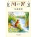  сосна .. блестящий река. свет средний . библиотека .49-1 Book
