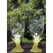 �ɓ��[�q �O���X���b�c�F�� �������蒤��K���X�̐��E Book