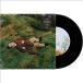 Jordan Rakei Flowers 7inch Single