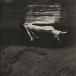 Bill Evans (Piano) Undercurrent LP