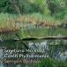  semi yon*bishukofsmetana: полосный произведение реверберация поэзия [.. родина ] CD