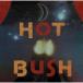 Hot Bush ۥåȡ֥å CD