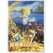  крыша обратная сторона. радиоконтроллер .-DVD * привилегия есть 
