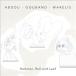 Sakina Abdou Hammer / Roll &amp; Leaf CD