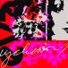 Eva Hurychova Lbdissues003 LP