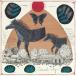 Will Johnson Diamond City/Wintergreen Vinyl LP