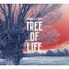 SHAMO TREE OF LIFE CD