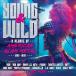 Various Artists Young And Wild - A Decade Of American Glam Metal 1982-1992 CD
