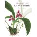 �ێR���݂� Botanical Art �ێR���݂�A����W Book