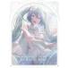  театр версия Project se kai поломка .se kai ... нет Miku [2Blu-ray Disc+2CD]< специальное оборудование ограниченая версия > Blu-ray Disc