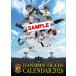  Hanshin Tigers Hanshin Tigers календарь 2026 Calendar