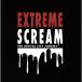 THE DIGITAL CITY JUNKIES EXTREME��SCREAM������ס� CD
