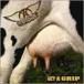 Aerosmith Get a Grip CD