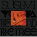 Susumu Yokota The Boy And The Tree (Skintone Edition)<Orange Vinyl> LP