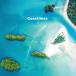 Coastlines берег линия z2 LP