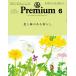 &amp;Premium( and premium ) 2026 год 06 месяц номер [ журнал ] Magazine