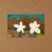AKMU BLOOMING: AKMU Vol.4 CD