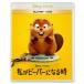  я . бобер стать час [Blu-ray Disc+DVD] Blu-ray Disc * привилегия есть 