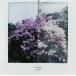  Kobukuro . день мир /Starry Smile Story [CD+Blu-ray Disc]< первый раз ограничение запись > 12cmCD Single