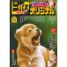  Big Comic оригинал 2026 год 7/5 номер [ журнал ] Magazine