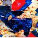 world's end girlfriend dream's end come true CD