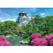  составная картинка Osaka замок . Япония сад - Osaka 500 деталь EPO-07-467s