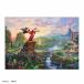  составная картинка Fantasia( Mickey &f линзы ) 266 деталь TEN-DSG266-988