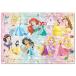  for children puzzle Princess .......!( Disney ) 55 piece TEN-DC55-157