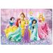  составная картинка .... Disney Princess ( Disney ) [CP-SW] 80 деталь TEN-DC80-160