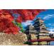  составная картинка осень ... Matsumoto замок ( Nagano ) [CP-AL] 1000 деталь YAM-10-1495