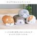 ���[�� �Ђ��肨�ӂƂ�N�b�V�����t�����Y �͂�˂��� �݂��˂� ���΂��� ���΂Ƃ� �z�c���[  �ڐG�⊴  �⊴ �N�[�� �Ђ��� �O�b�Y �V���O�� �|���z�c �֘A�摜2