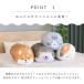 ���[�� �Ђ��肨�ӂƂ�N�b�V�����t�����Y �͂�˂��� �݂��˂� ���΂��� ���΂Ƃ� �z�c���[  �ڐG�⊴  �⊴ �N�[�� �Ђ��� �O�b�Y �V���O�� �|���z�c �֘A�摜3