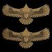  лакировка наклейка [ Eagle золотой 55mm] Gold 