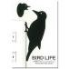  птица настенный стикер [BIRD LIFE bird жизнь (kitsu есть )] переключатель стикер 