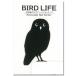  птица настенный стикер [BIRD L IFE bird жизнь ( сова )] переключатель стикер 