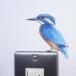 птица настенный стикер [BIRD L IFE Color bird жизнь цвет ( кожа semi )] переключатель стикер 