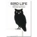  птица настенный стикер [BIRD L IFE bird жизнь (kono - zk)] переключатель стикер 