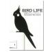  птица настенный стикер [BIRD LIFE bird жизнь (o черепаха длиннохвостый попугай )] переключатель стикер 
