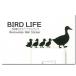  птица настенный стикер [BIRD L IFE bird жизнь (a Hill )] переключатель стикер 