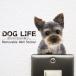 DOG LIFE Color собака жизнь цвет [ yoke автомобиль терьер ] собака цвет настенный стикер 