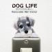 DOG LIFE Color собака жизнь цвет [ миниатюра shunau The -] собака цвет настенный стикер 