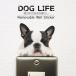 DOG LIFE Color собака жизнь цвет [ French bru собака ] собака цвет настенный стикер 
